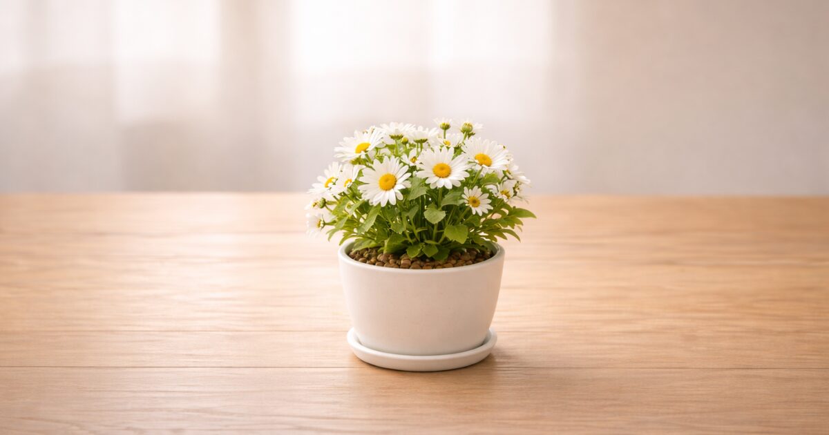 後悔しない選び方